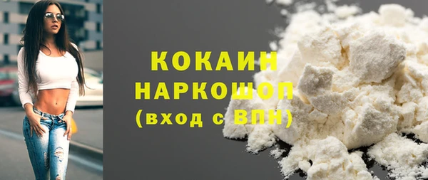 индика Лабытнанги