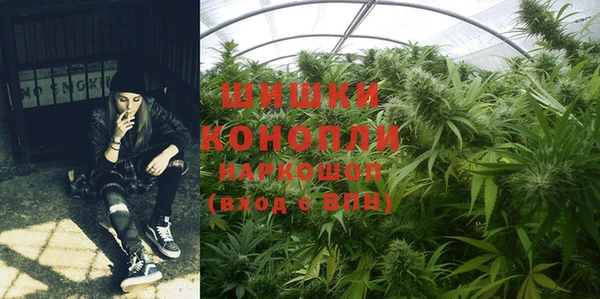 индика Лабытнанги