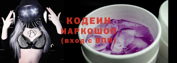 индика Лабытнанги