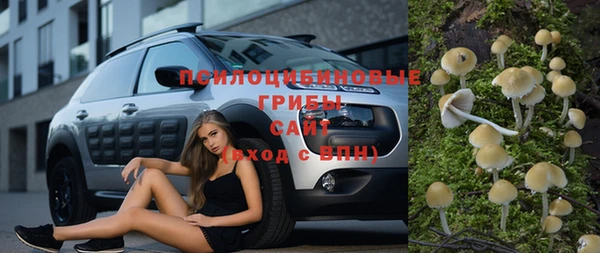 индика Лабытнанги