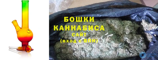 индика Лабытнанги