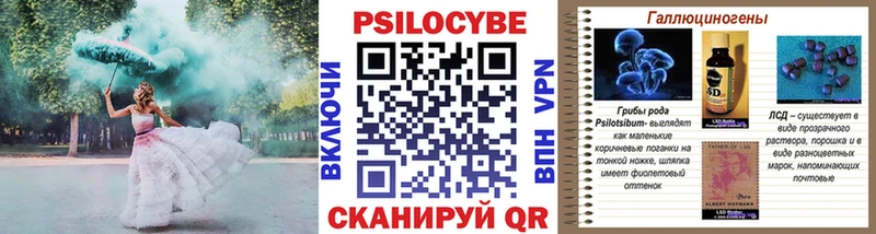 Псилоцибиновые грибы Cubensis  дарк нет состав  Псков 